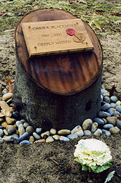Photograph of a decorated wooden memorial plaque